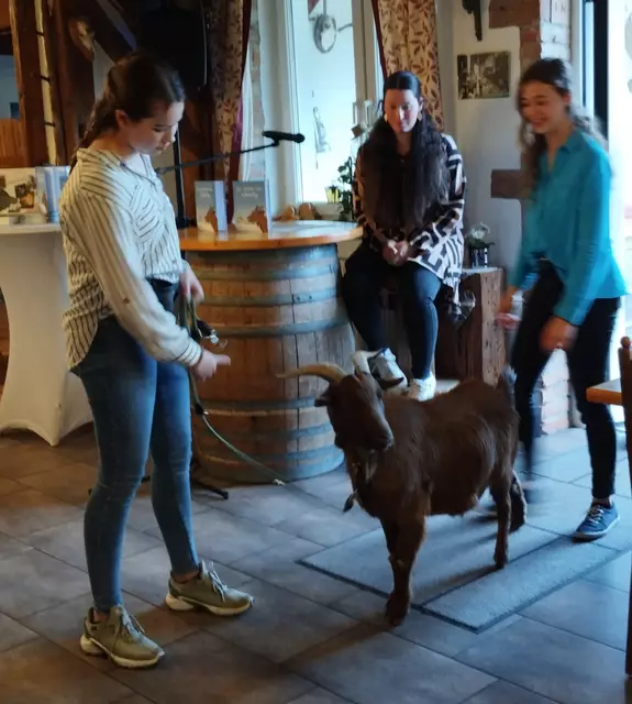 Ziegenbock Charly begeistert | Foto: Veronika Frank