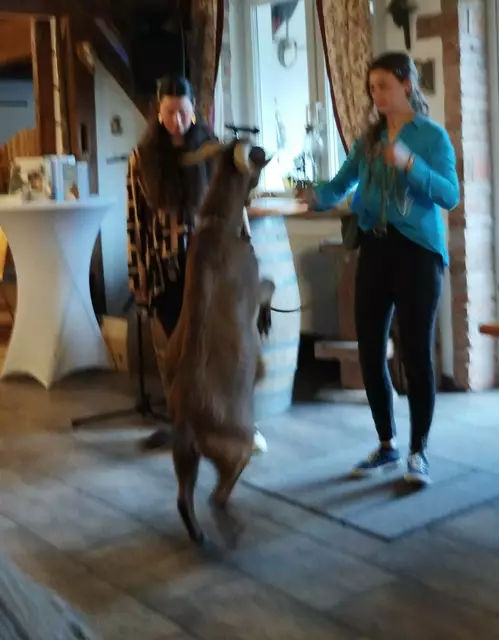 Foto: Veronika Frank