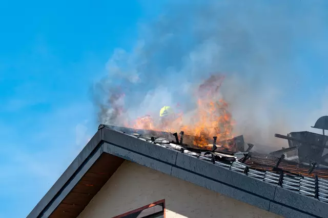 Foto: TEAM FOTOKERSCHI / MARTIN SCHARINGER