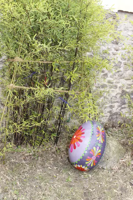 Foto: Walter Kellner