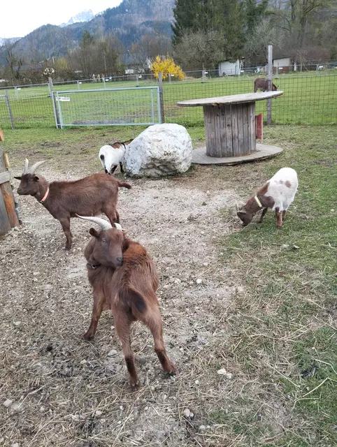 Foto: Veronika Frank