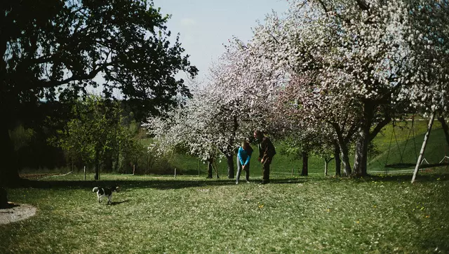 Am 25. April wird am Biohof Pankrazhofer der „Tag der Streuobstwiese“ mit kostenlosen Führungen und Verkostungen zelebriert. | Foto: Pia Paulinec