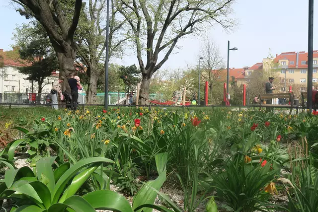 Der Park verfügt über ausreichend Blumenbeete.  | Foto: Patricia Hillinger/MeinBezirk