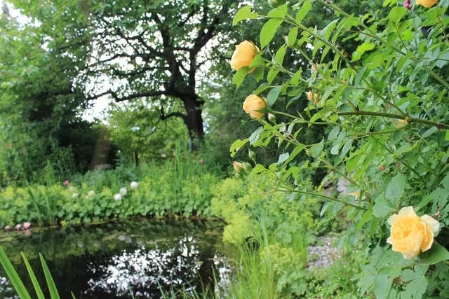 Die Schaugärten im Bezirk Horn wurden ausgezeichnet. | Foto: privat
