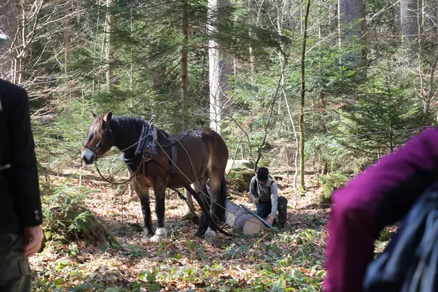 Dominik und Hubert beim gemeinsamen Arbeiten. | Foto: Meßthaller