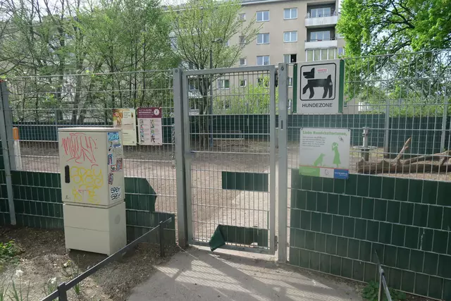 Der Park verfügt über eine geräumige Hundezone.  | Foto: Patricia Hillinger/MeinBezirk