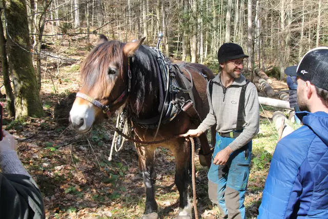 Wallach Hubert und Dominik Zabilka | Foto: Meßthaller