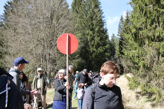 Rot heißt Stop | Foto: Meßthaller