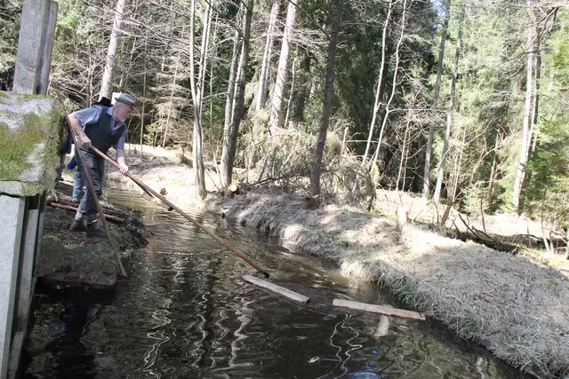 Das Holz musste auch wieder raus gefischt werden. | Foto: Meßthaller