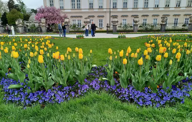 Blütenpracht im Mirabellgarten  | Foto: H.Bachinger 