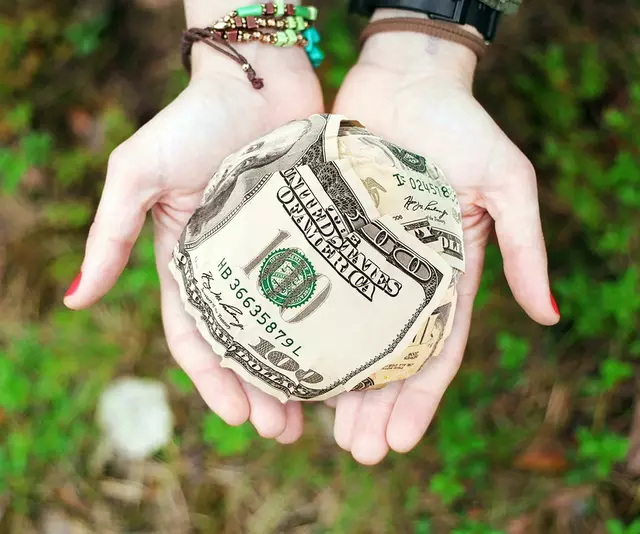 Symbolbild. Eine großzügige Spende an die ISTA kam aus den USA. | Foto: Pexels