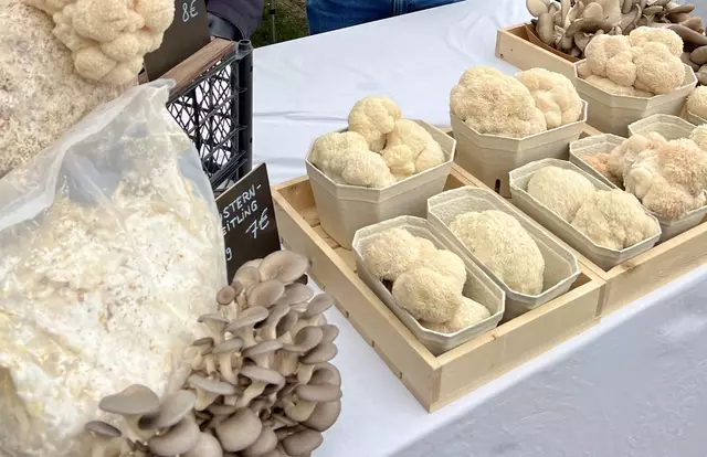 Lokales aus Wien und Umgebung wird beim Markt der Erde angeboten. | Foto: Slow Food Market