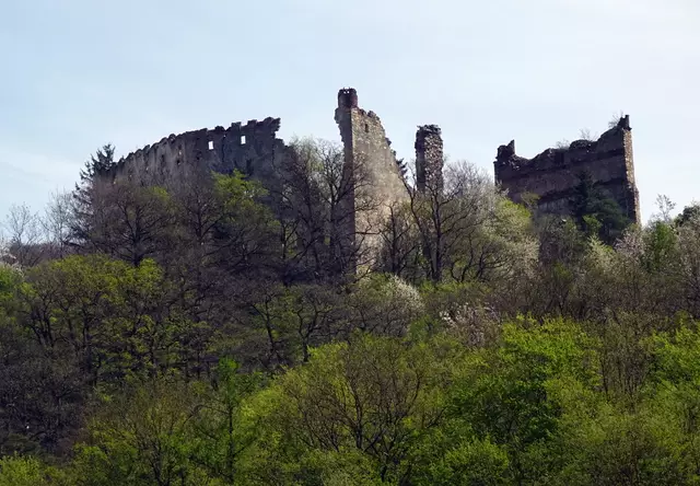 Der Melktal-Radweg führt an der Ruine Zelking vorbei.