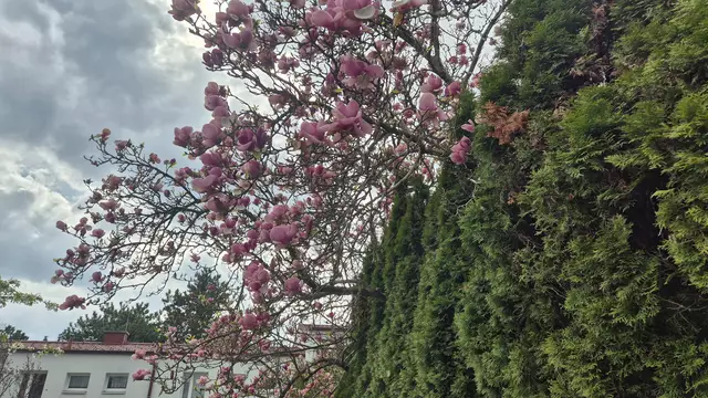 10.04.2025 auch das ist in Wien