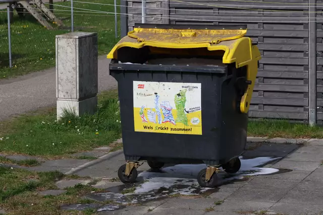 Auch eine Großraumtonne ging in Flammen auf. | Foto: laumat.at