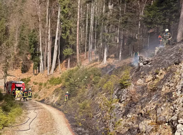 Am Montag am Nachmittag entzündete Funkenflug aus dem Auspuff eines Traktors auf einem trockenen Waldweg in Brandenberg den Waldboden. Der 74-jährige Fahrer alarmierte umgehend die Feuerwehr. | Foto: Zoom.Tirol