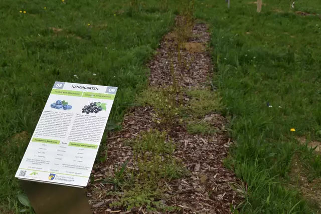 Foto: Michael Strini