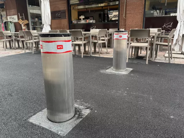 Stadträtin Sandra Wassermann verrät den Nutzen sowie ihr größtes Anliegen bezüglich dieser Poller. | Foto: MeinBezirk.at