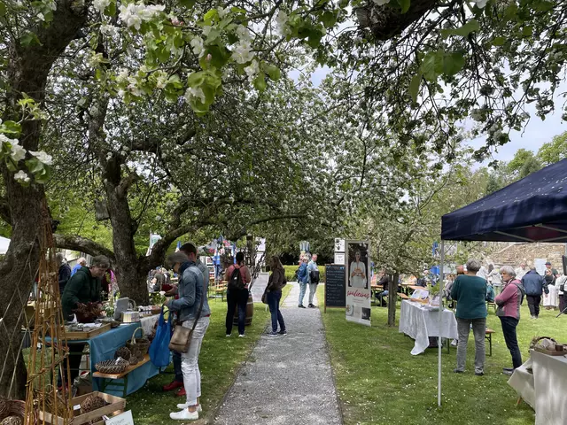 Es gibt zahlreiche Stände, die Produkte rund um die Themen Genuss und Garten präsentieren, von regionalen Schmankerln bis hin zu kreativer Handwerkskunst und Pflanzen für den eigenen Garten. | Foto: Gemeinde Lichtenau