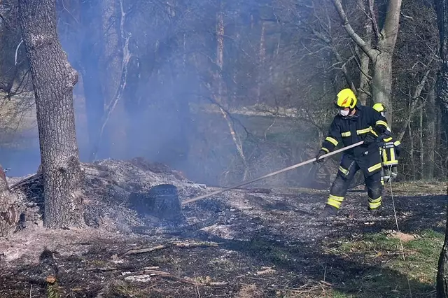 Aschrereste nach dem Waldbrand | Foto: BFK Waidhofen/Thaya