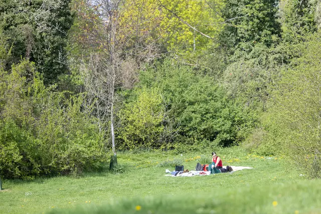 Foto: René Brunhölzl/MeinBezirk