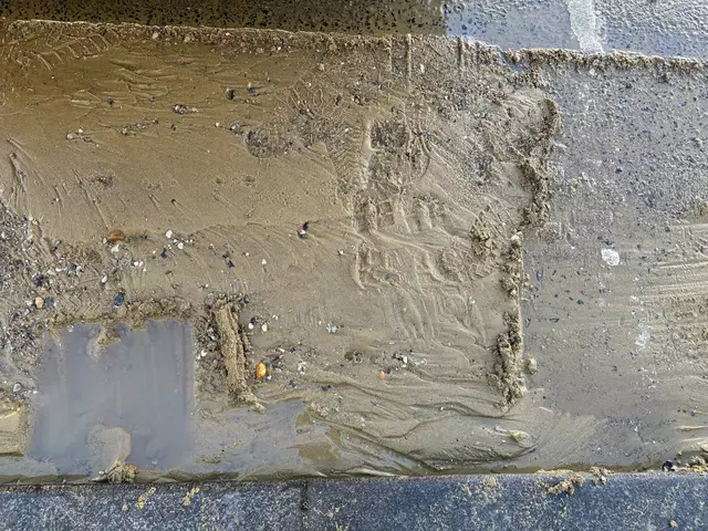 Foto: Antonio Šećerović/MeinBezirk