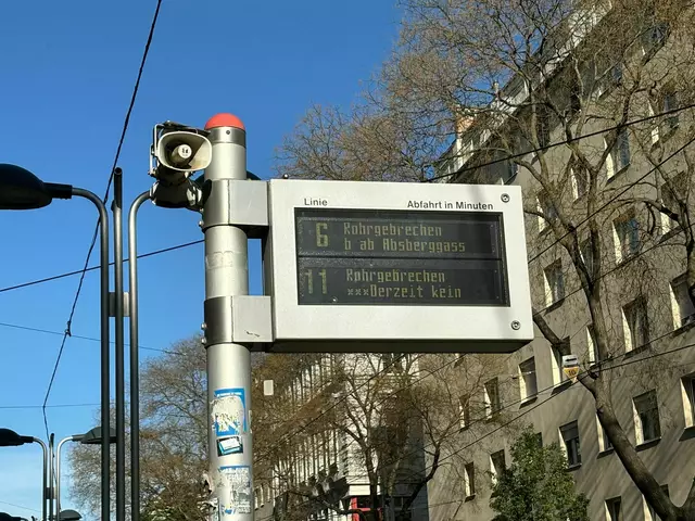 Foto: Patricia Hillinger/MeinBezirk