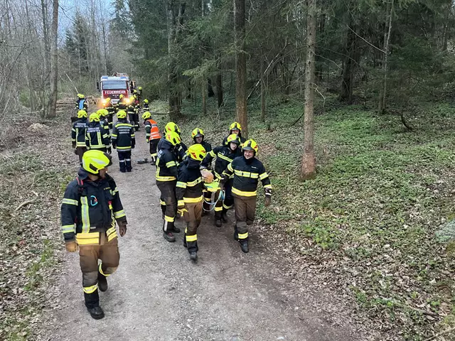 Rettung der "verletzten" Person | Foto: FF Waidhofen/Thaya