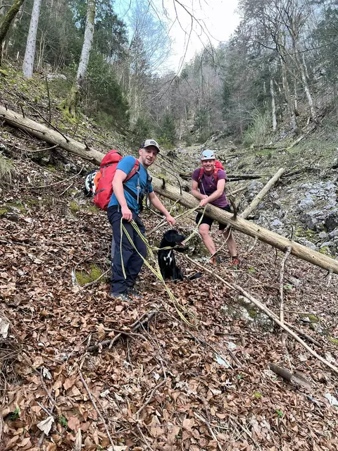 Dank des richtigen Gespürs, guter Zusammenarbeit und moderner Technik konnte Hund "Vito" schließlich wohlbehalten gefunden werden. | Foto: Bergrettung Ebensee