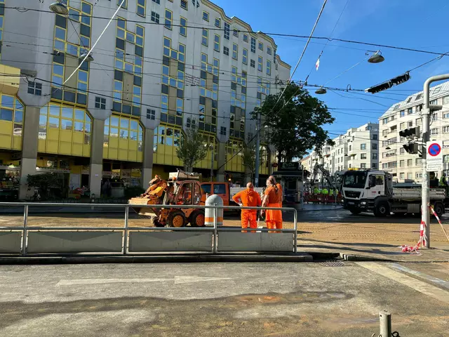 Auch die 48er sind wegen des Gebrechens im größeren Aufräum-Einsatz. | Foto: Antonio Šećerović/MeinBezirk