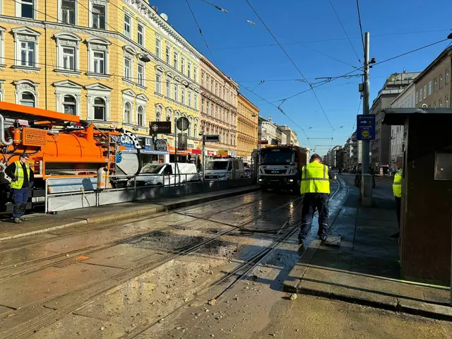 Foto: Patricia Hillinger/MeinBezirk