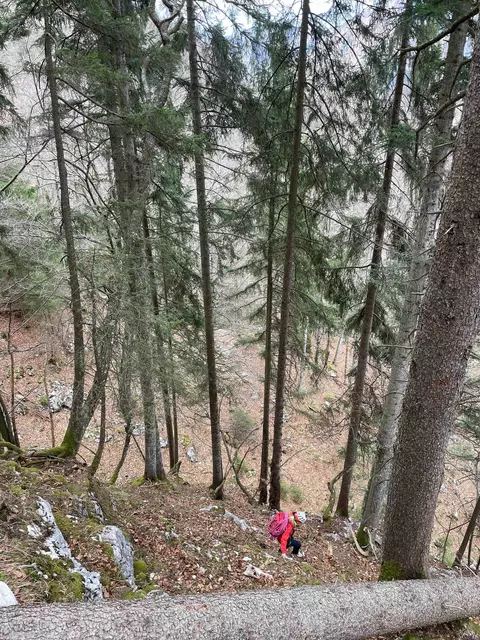 Foto: Bergrettung Ebensee