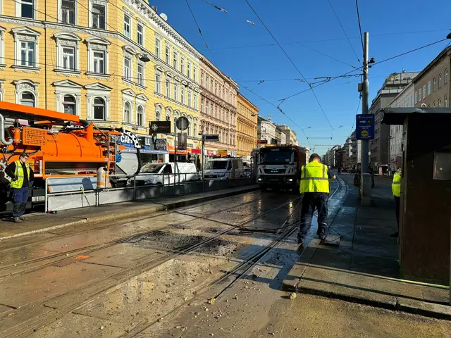 Foto: Patricia Hillinger/MeinBezirk