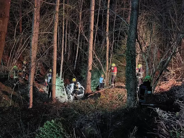 Foto: FF Waidhofen/Thaya