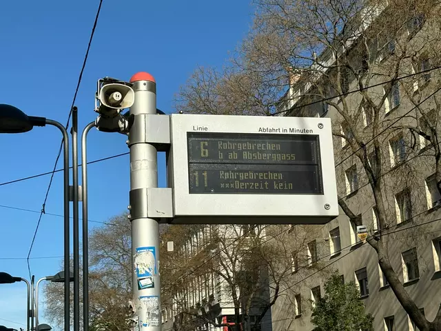 Foto: Patricia Hillinger/MeinBezirk