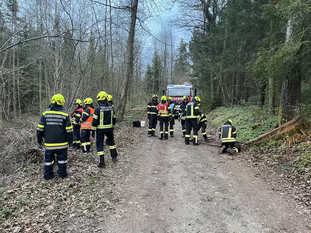 Foto: FF Waidhofen/Thaya