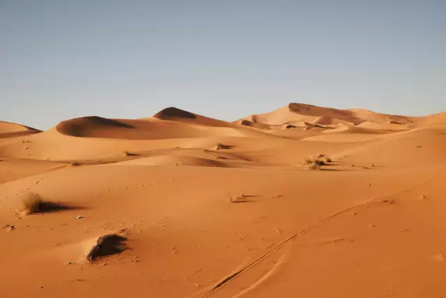 Staubige Herkunft: Aus der Sahara gelangen feine Sandpartikel tausende Kilometer weit bis nach Tirol. | Foto: unsplash