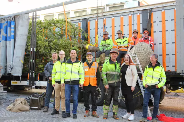 Vizebürgermeisterin Sarah Katholnig, Stadtgrün-Leiter Wolfgang Faller und das zuständige Stadtgrün-Team freut sich über die Ankunft der sechs weiteren Schwammstadtbäume. | Foto: Stadt Villach
