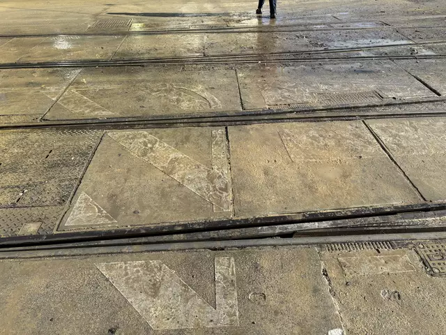 Foto: Antonio Šećerović/MeinBezirk