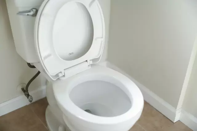 Eine herumfliegende WC-Schüssel war nicht das Einzige, was sich bei einem Pärchenstreit im 15. Bezirk zugetragen hatte. (Symbolbild) | Foto: Giorgio Trovato/Unsplash