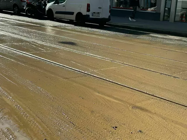 Foto: Patricia Hillinger/MeinBezirk