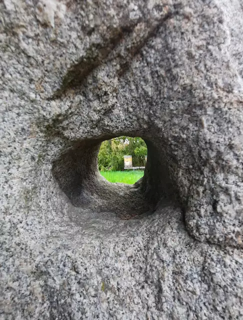 Durchblick auf Bienenkasten