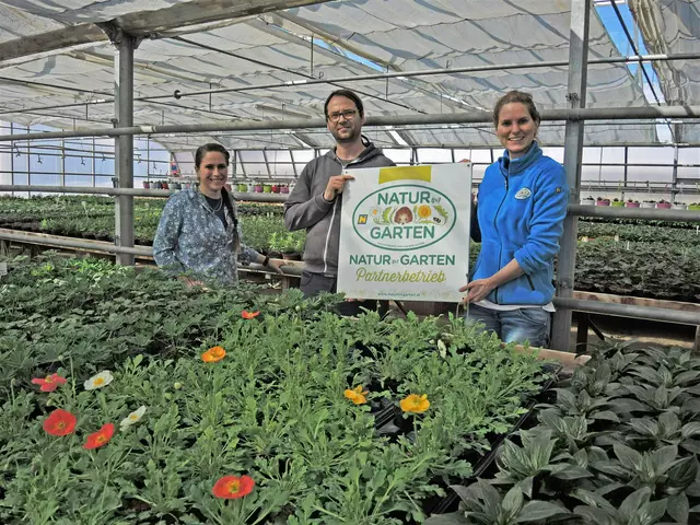 Walter Kornfeld (Mitte) bietet in seiner Gärtnerei in Stegersbach am Sonntag, dem 27. April, eine große Auswahl an Sommerblumen und Gemüsepflanzen aller Art. | Foto: "Natur im Garten"