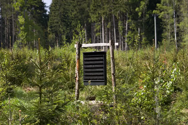 So sieht eine herkömmliche Borkenkäferfalle aus. | Foto: LUCKAAKCUL/PantherMedia