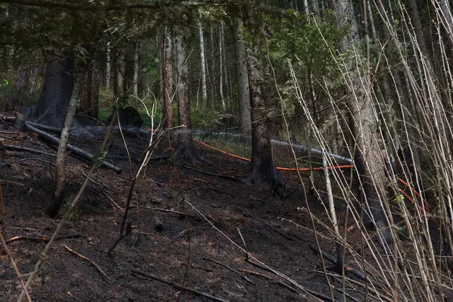 Foto: laumat.at/Matthias Lauber