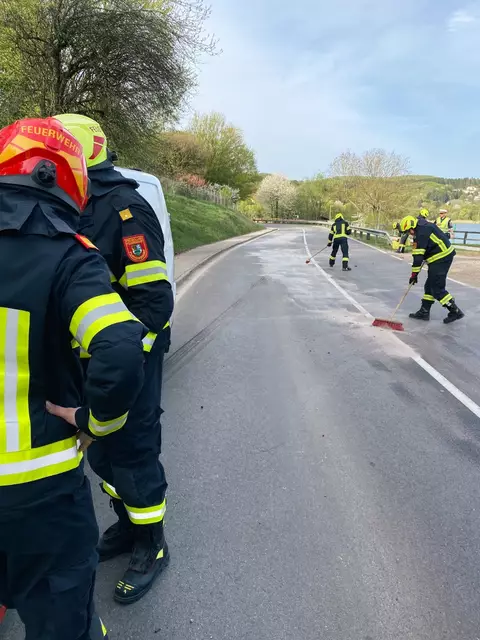 Die Feuerwehr musste die Straße reinigen | Foto: FF Purkersdorf