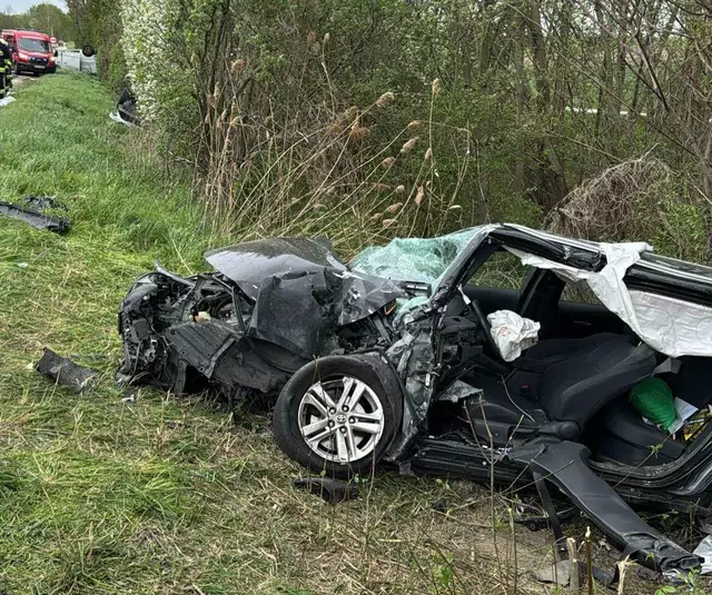 Foto: Doku NÖ / Kargl