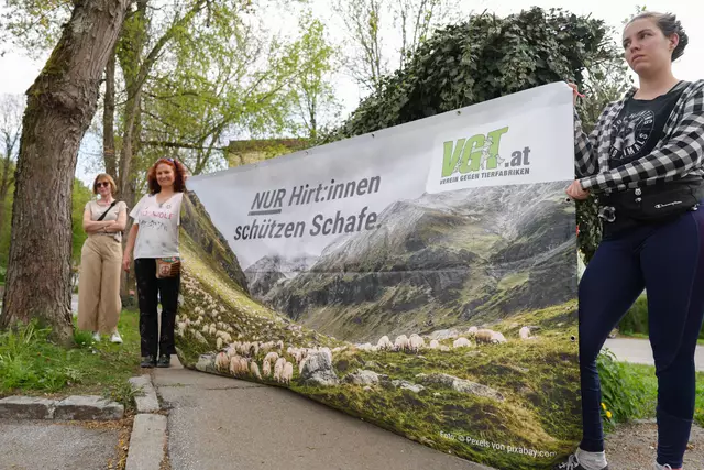 Foto: Foto: Stefan Schubert