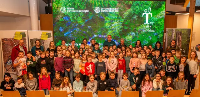 Ein "Klassenzimmer der besonderen Art" im Haus der Wildnis in Lunz am See | Foto: Christian Scheucher/Wildnisgebiet Dürrenstein-Lassingtal