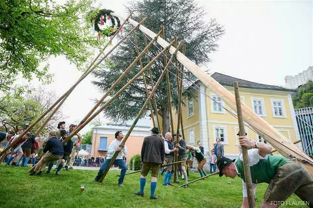Der Frühling steht vor der Tür, die Vögel zwitschern, und die Vorbereitungen für das alljährliche Maibaumfest sind in vollem Gange.  | Foto: FotoFlausen